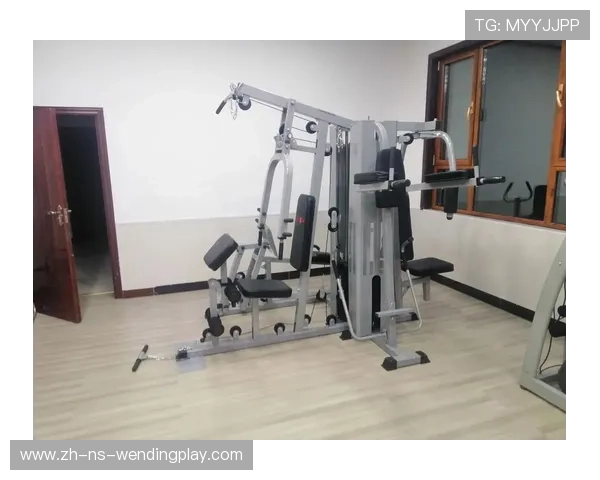 高端健身器材价格走势分析：如何合理选择性价比高的高端健身器材